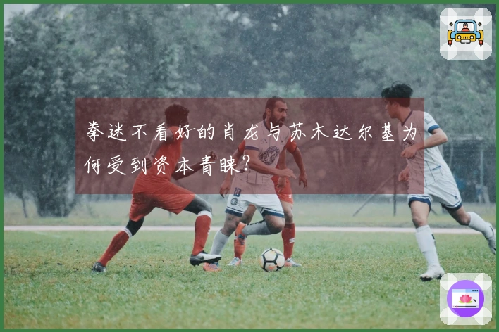 拳迷不看好的肖龙与苏木达尔基为何受到资本青睐？