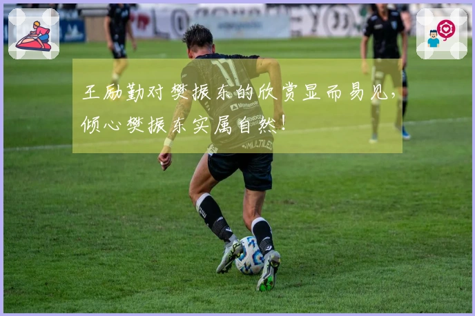 王励勤对樊振东的欣赏显而易见，倾心樊振东实属自然！