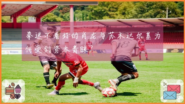 拳迷不看好的肖龙与苏木达尔基为何受到资本青睐？