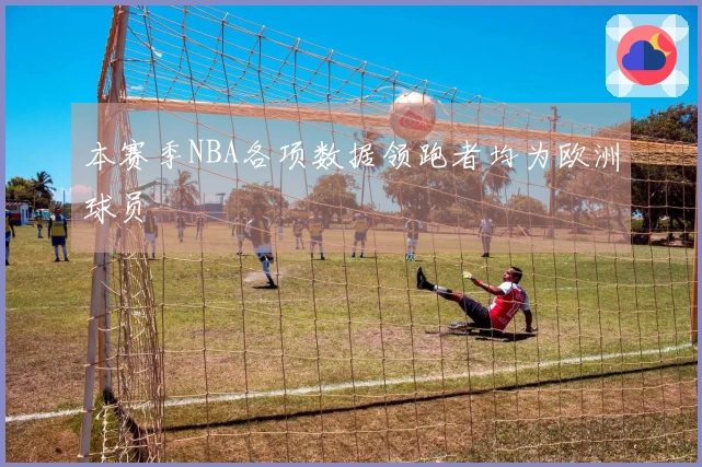 本赛季NBA各项数据领跑者均为欧洲球员
